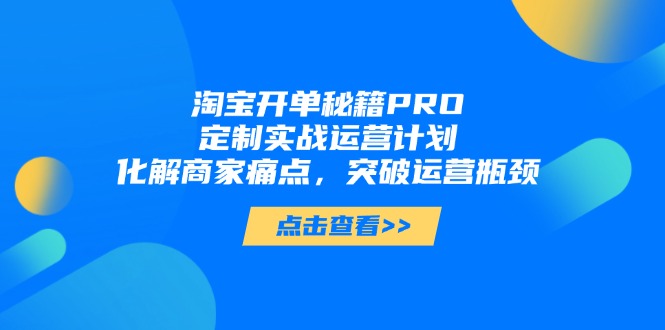 淘宝开单秘籍PRO，定制实战运营计划，化解商家痛点，突破运营瓶颈-朽念云创