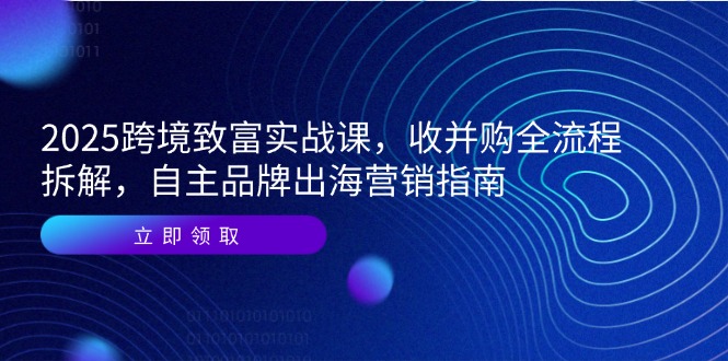 2025跨境致富实战课，收并购全流程拆解，自主品牌出海营销指南-朽念云创