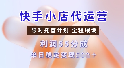 快手小店代运营，限时托管计划，收益55分，单日稳定变现多张【揭秘】-朽念云创