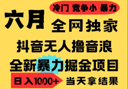 25年6月高爆抖音无人直播最新撸音浪掘金项目，小白可做，无脑日入1k+，门槛低可批量矩阵【揭秘】-朽念云创