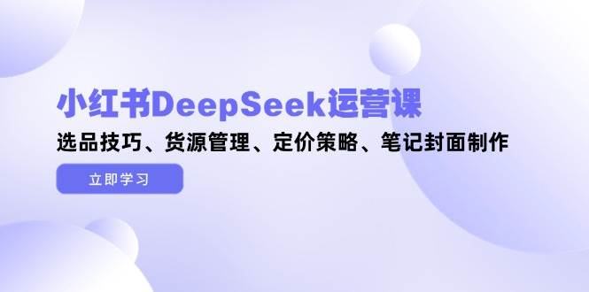 小红书DeepSeek运营课，选品技巧、货源管理、定价策略、笔记封面制作-朽念云创