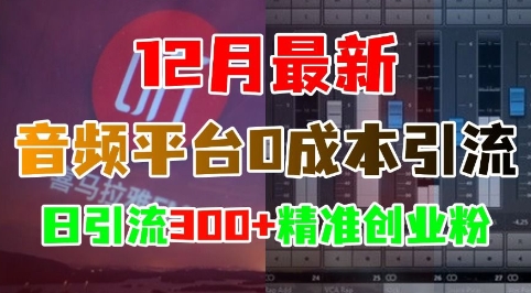 12月最新：音频平台0成本引流，日引流300+精准创业粉-朽念云创