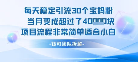 每天稳定引流30个人 当月变成超过了4个W项目流程非常简单适合小白-朽念云创
