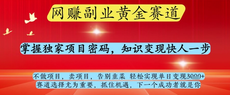 网创副业黄全赛道，掌握独家项目密码，知识变现快人一步，告别韭菜轻松实现单日变现1k+【揭秘】-朽念云创