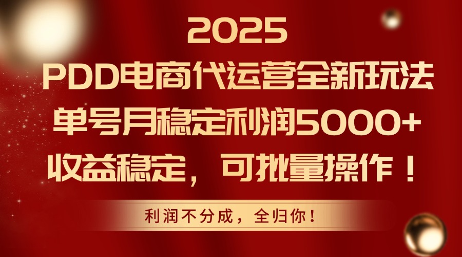2025PDD电商代运营全新玩法，单号月稳定利润5000+，收益稳定，可批量操作-朽念云创