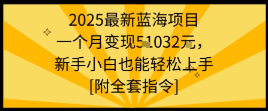 2025最新蓝海项目一个月变现1w+新手小白也能轻松上手【附全套指令】-朽念云创