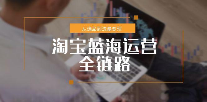 淘宝蓝海运营全链路，从选品到流量变现，小类目突围完整方案-朽念云创