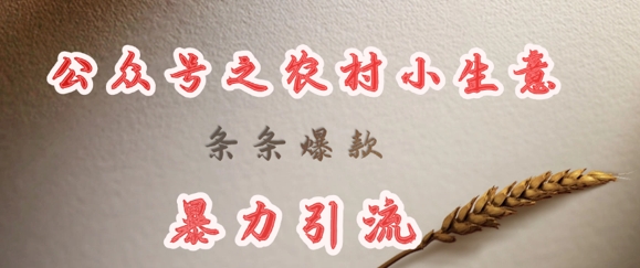 deepseek写农村小项目，条条爆款，暴力引流-朽念云创