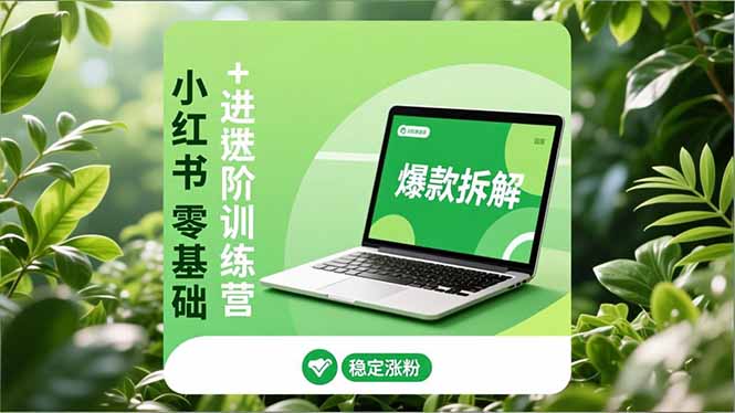 小红书零基础+高阶训练营:安全养号、爆款拆解、长效运营,实现稳定涨粉与变现-朽念云创