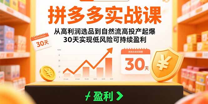 拼多多实战课：从高利润选品到自然流高投产起爆 30天实现低风险可持续盈利-朽念云创
