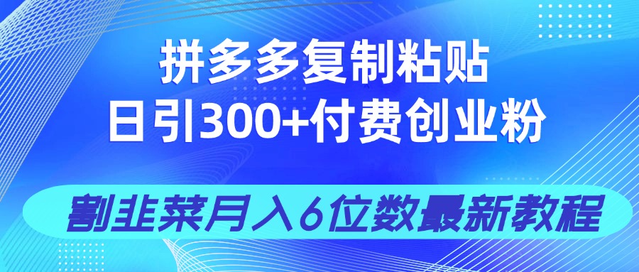 拼多多复制粘贴日引300+付费创业粉，割韭菜月入6位数最新教程！-朽念云创