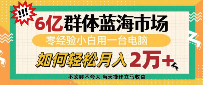 6亿群体蓝海市场，零经验小白用一台电脑，如何轻松月入过w【揭秘】-朽念云创
