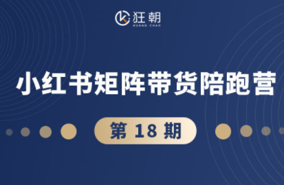 盗坤·抖音小红书视频号短视频带货与直播变现(11-18期)-朽念云创