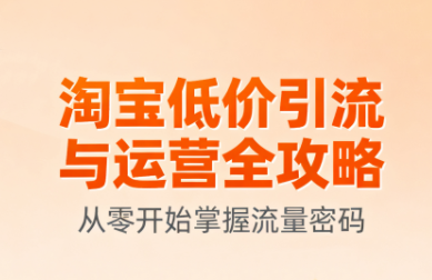 淘宝低价引流与运营全攻略(更新9月)-朽念云创