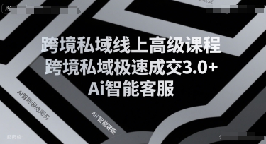 跨境私域线上高级课程，跨境私域极速成交3.0+Ai智能客服-朽念云创