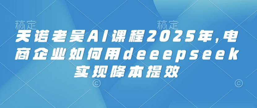 天诺老吴AI课程2025年，电商企业如何用deeepseek实现降本提效-朽念云创