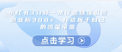 小红书3分钟一条作品精准引流创业粉300+，打造属于自己的流量帝国-朽念云创