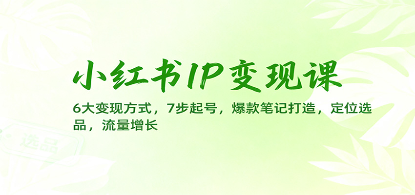 小红书IP变现课：6大变现方式，7步起号，爆款笔记打造，定位选品，流量增长-朽念云创