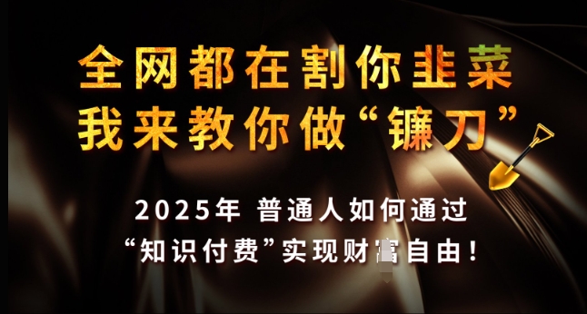 全网都在割你韭菜，我来教你做镰刀，2025年普通人如何通过 知识付费 实现财F自由【揭秘】-朽念云创