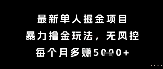 最新单人掘金项目，暴力撸金玩法，无风控，每个月多挣5k+【揭秘】-朽念云创