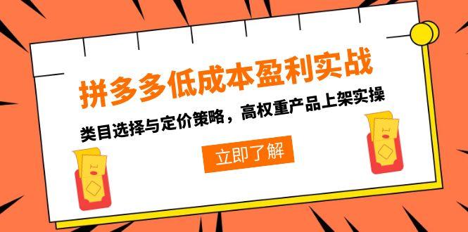 拼多多低成本盈利实战,类目选择与定价策略,高权重产品上架实操-朽念云创