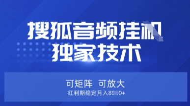 【搜狐音频挂G】独家技术，可矩阵可放大，红利期稳定月入8k【揭秘】-朽念云创