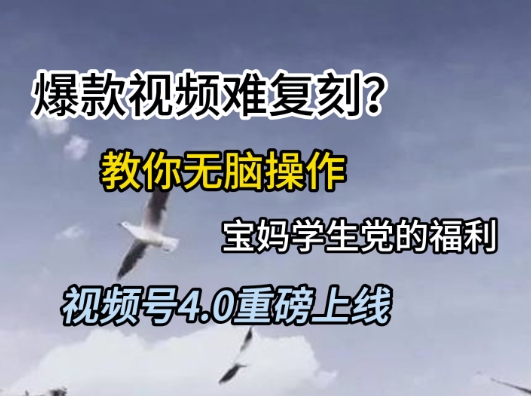 视频号4.0重磅上线,爆款视频难复刻?教你无脑操作宝妈学生党的福利【揭秘】-朽念云创