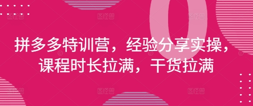 拼多多特训营，经验分享实操，课程时长拉满，干货拉满(更新25年4月)-朽念云创