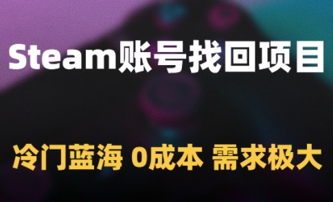 Steam账号找回项目，冷门蓝海，0成本，需求极大-朽念云创