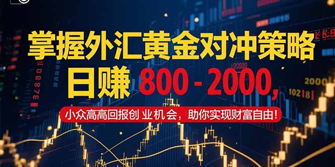 掌握外汇黄金对冲策略，日赚 800 – 2000，小众高回报创业机会，助你实…-朽念云创