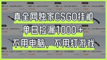 真全网独家CSGO挂G，单日捡漏1k+【揭秘】-朽念云创