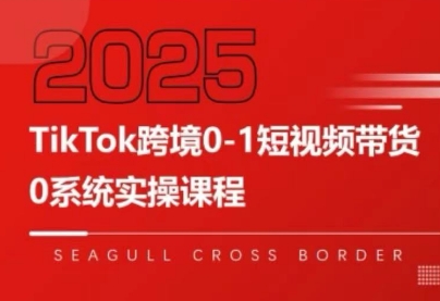 大亿老师·TikTok跨境0-1短视频带货-朽念云创