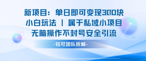 新项目单日即可变现3张的小白玩法无脑操作不封号安全引流-朽念云创