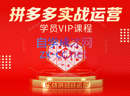 推易电商·拼多多实战运营课(更新2025月)-朽念云创