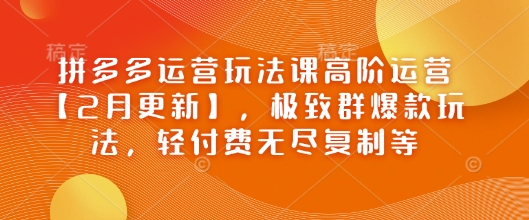 拼多多运营玩法课高阶运营【2月更新】，极致群爆款玩法，轻付费无尽复制等-朽念云创