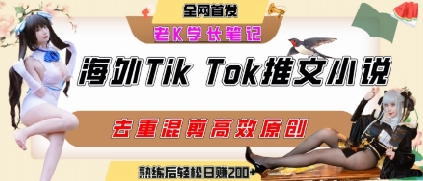 海外tiktok小说推文暴力项目，高停留率，高转化率，上手后一天搞顿饭钱不是问题-朽念云创