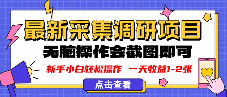 新版采集调研项目，截图上传即可，无脑操作，日收益1-2张-朽念云创