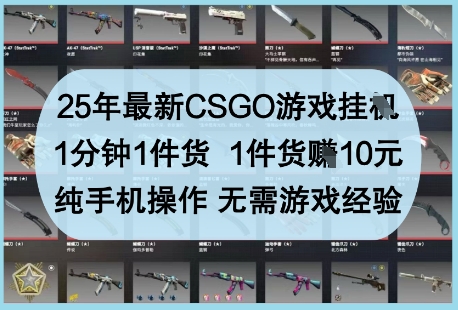 25年最新CSGO游戏挂G，1分钟1件货，1件货挣10元，纯手机操作，无需游戏经验【揭秘】-朽念云创