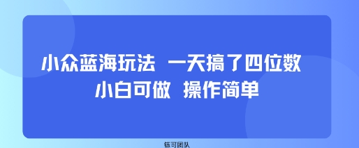 小众蓝海玩法 一天搞了四位数 小白可做 操作简单-朽念云创