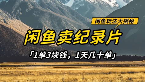 闲鱼卖纪录片1单3块钱,1天几十单,项目稳定有潜力-朽念云创