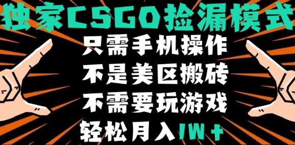CSGO自动捡漏项目，最新独家玩法，不是美区搬砖，不需要了解和玩游戏，新手小白轻松月入1W+【揭秘】-朽念云创