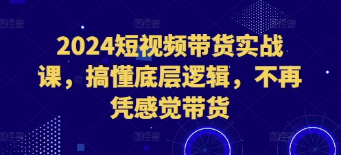 2024短视频带货实战课，搞懂底层逻辑，不再凭感觉带货-朽念云创