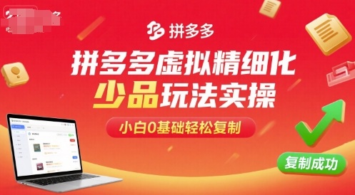 拼多多虚拟精细化少品玩法实操，小白0基础轻松复制-朽念云创