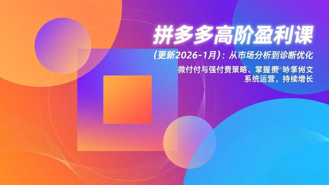 拼多多高阶盈利课(更新2026-1月-朽念云创