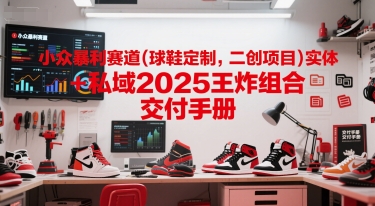 小众暴利赛道(球鞋定制，二创项目)实体+私域2025王炸组合  交付手册-朽念云创