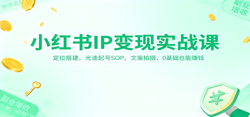 小红书IP变现实战课：定位搭建，光速起号SOP，文案拍摄，0基础也能赚钱-朽念云创