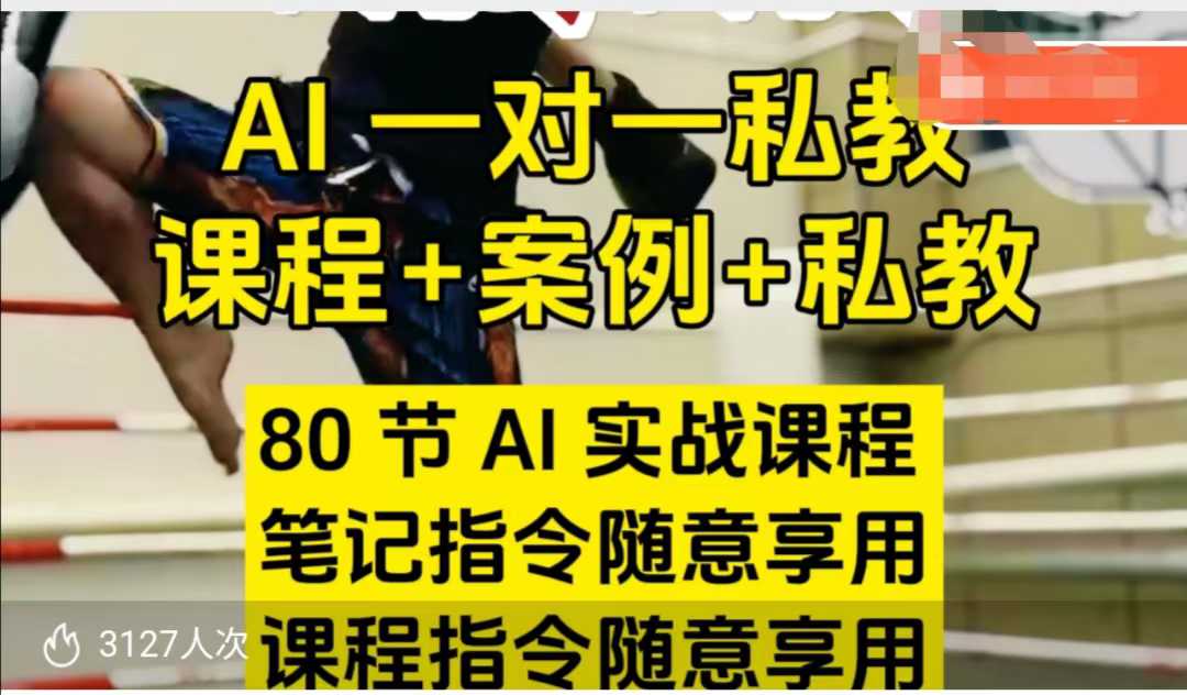 AI指令实战课，课程+案例，80节AI实战课程，笔记指令随意享用，课程指令随意享用(更新7月)-朽念云创