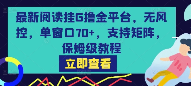 最新阅读挂G撸金平台,无风控,单窗口70+,支持矩阵,保姆级教程【揭秘】-朽念云创