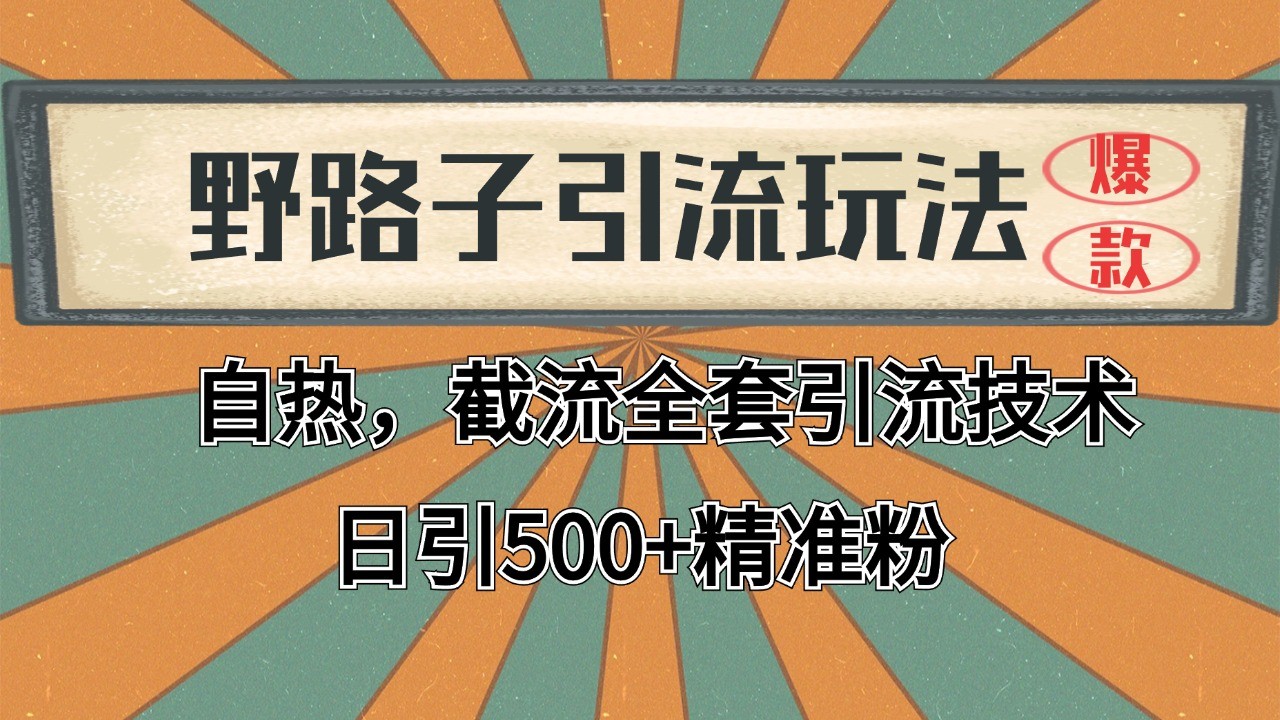 2024首发野路子引流玩法截流自热全平台打法，全自动引流【日引2000+精准客户】-朽念云创
