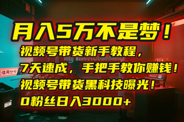 月入5万不是梦！视频号带货新手教程，7天速成，手把手教你赚钱！视频号…-朽念云创